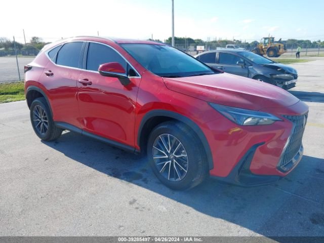Lexus NX 2024