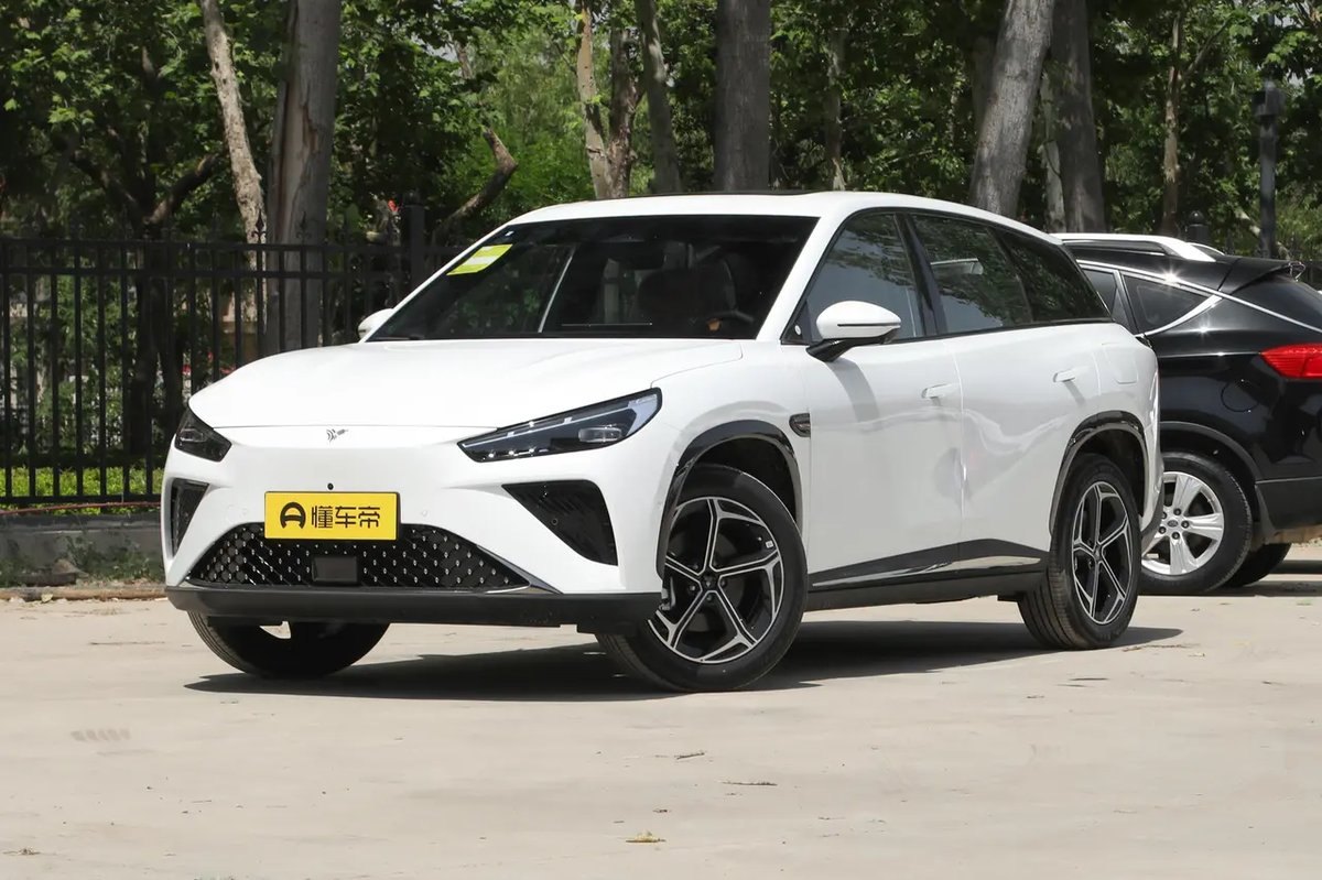 Neta L 2024
