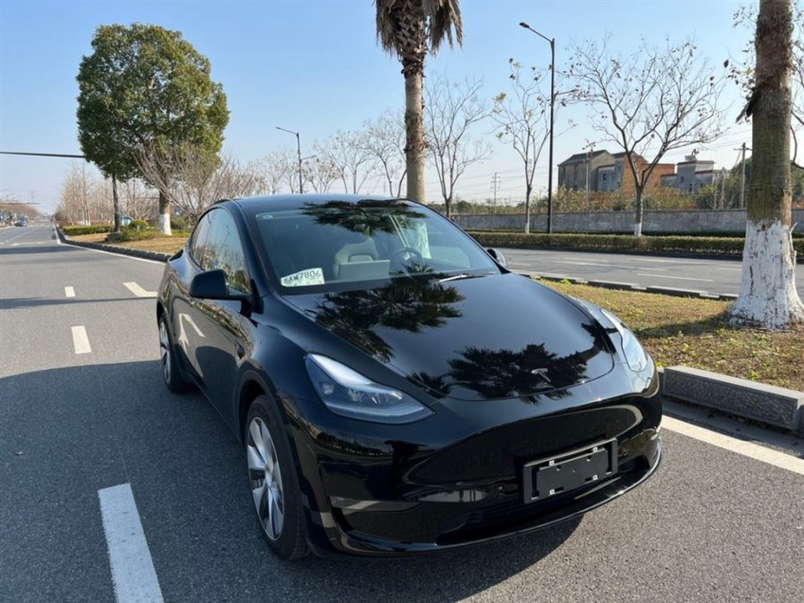 Tesla Model Y 2021