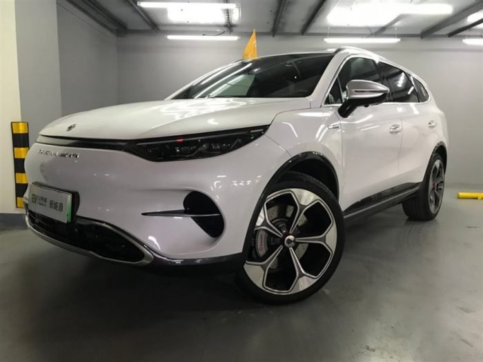 Denza X 2020