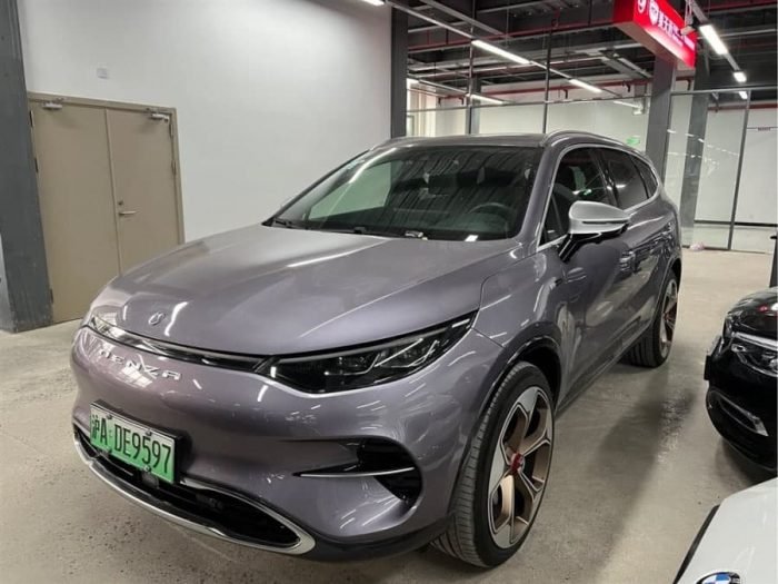 Denza X 2020