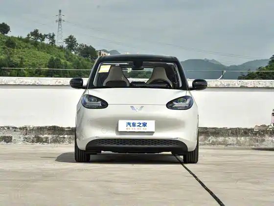 Wuling Bingguo 2023