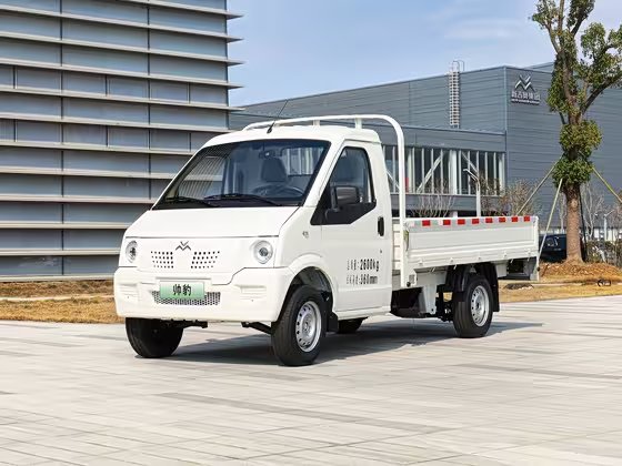 New go now Geo Handsome Leopard 2024