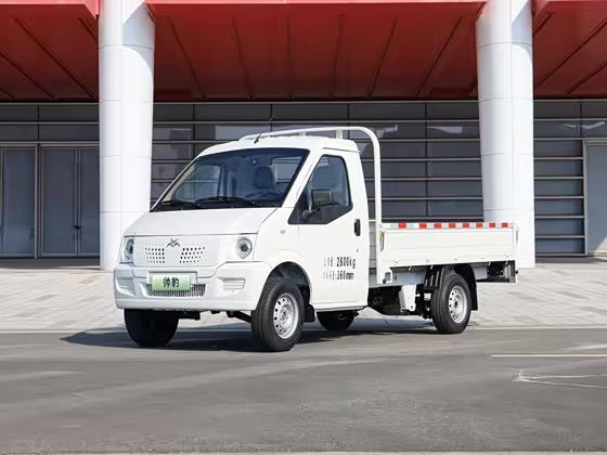 New go now Geo Handsome Leopard 2024