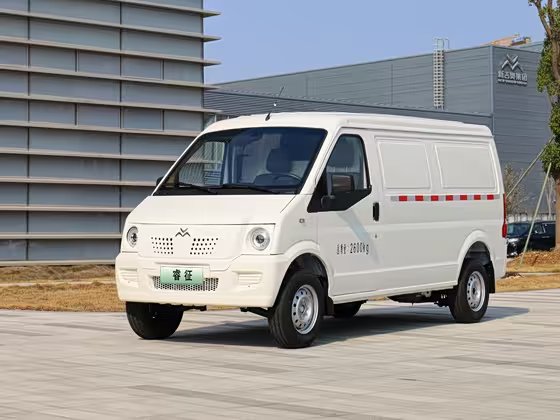 New go now GEORIZHENG 2024