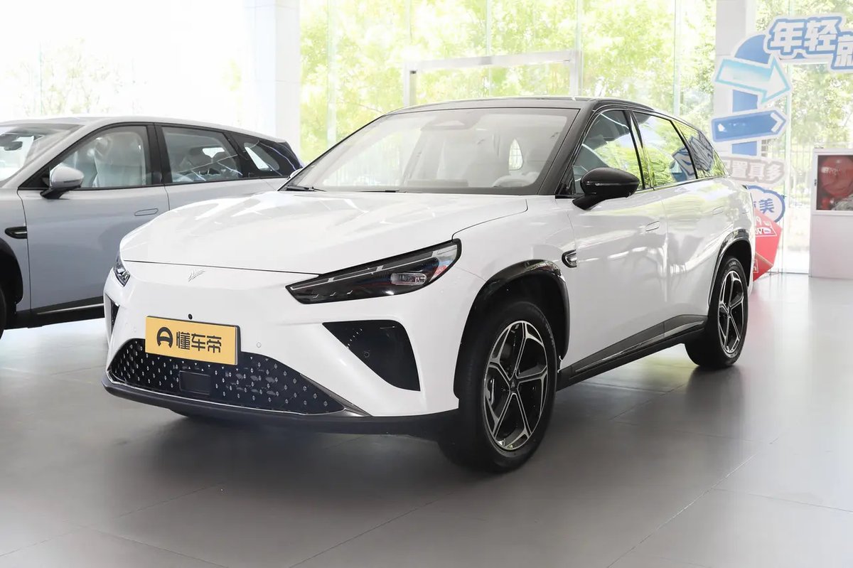 Neta L 2024