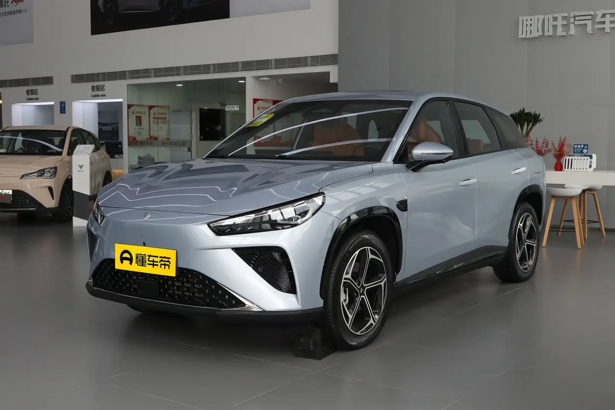 Neta L 2024
