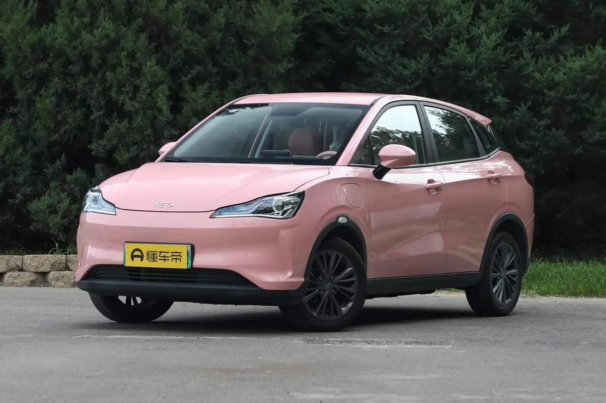 Neta V 2022