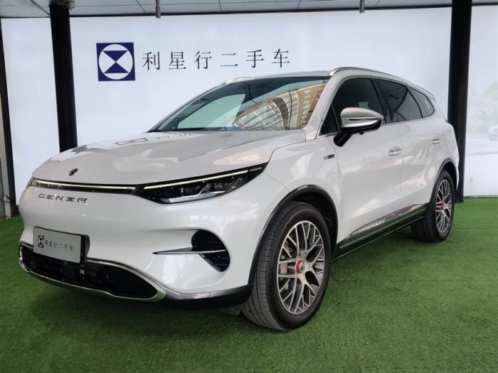 Denza X 2020